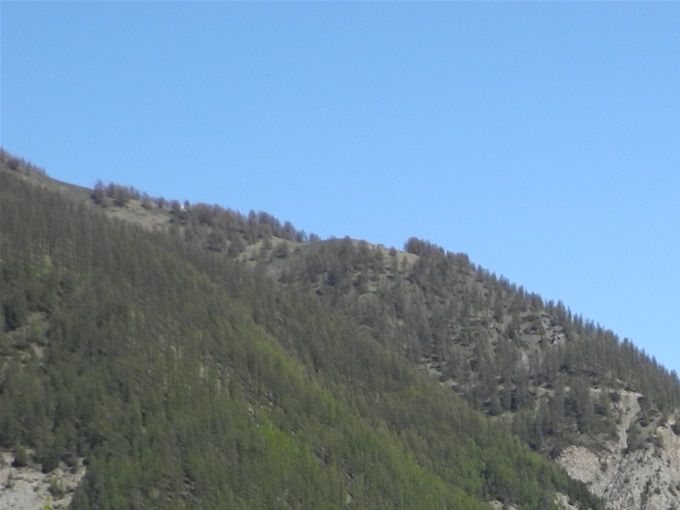 Vallée d'Arvieux, appelée le Val d'Azur